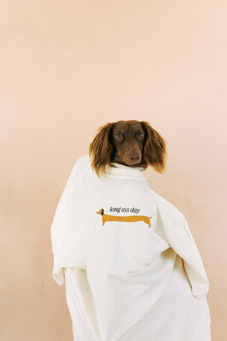 DOG DAYS OF SUMMER