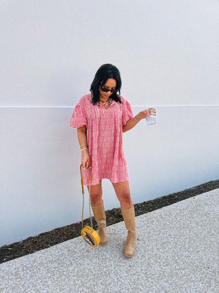 ladybug gingham dress