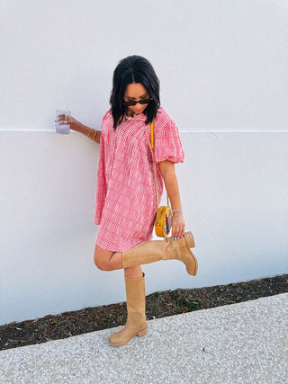 ladybug gingham dress