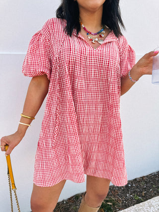 ladybug gingham dress
