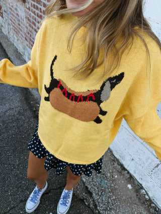 harvey hotdog sweater
