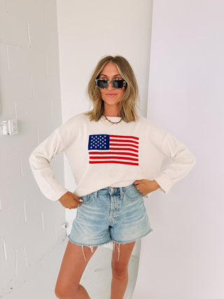 z supply | sienna patriot sweater