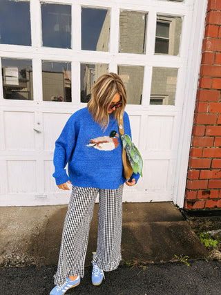 swimming duck sweater