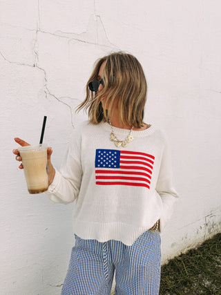 z supply | sienna patriot sweater