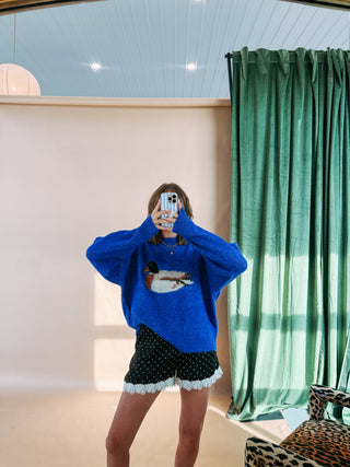 swimming duck sweater